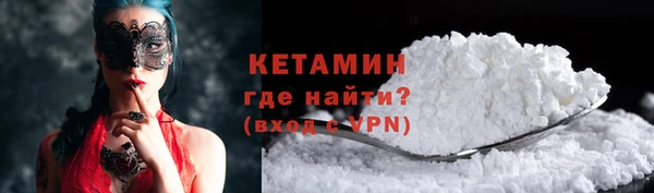 индика Грязовец
