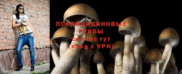 гидра Протвино
