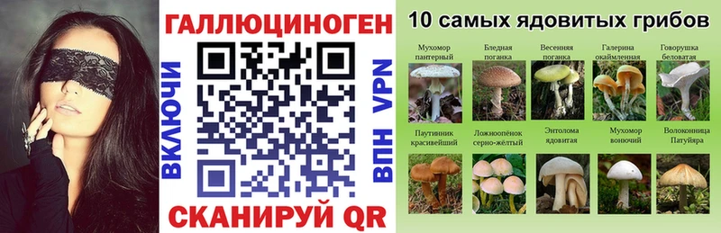 где купить Волжск мориарти Telegram Псилоцибиновые грибы Magic Shrooms