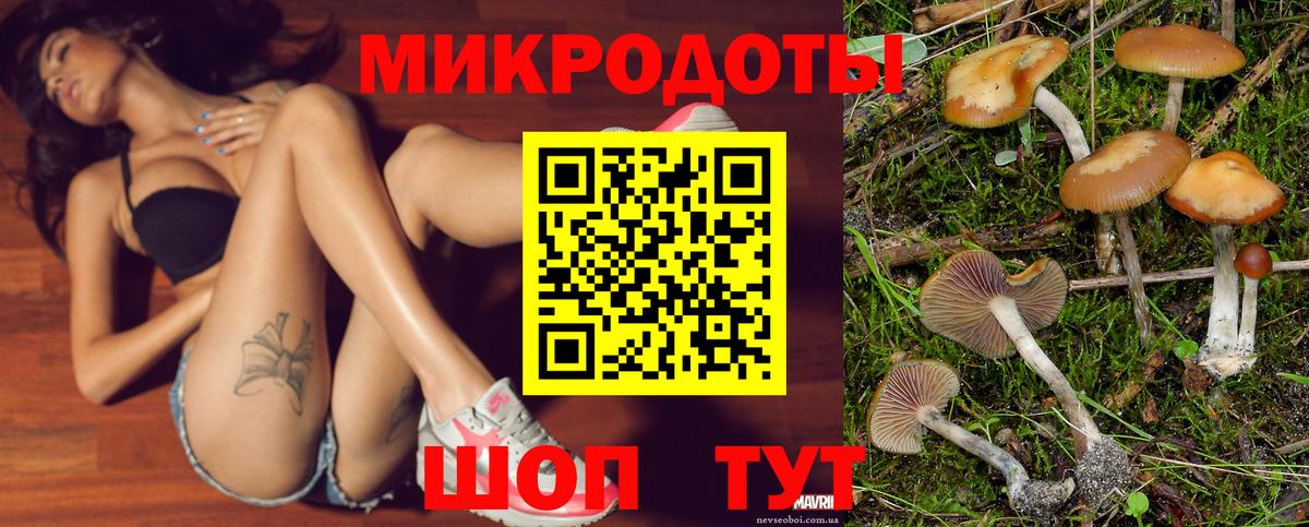 Галлюциногенные грибы Magic Shrooms Волжск